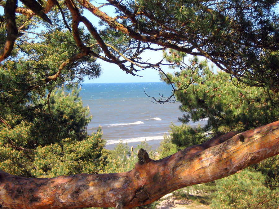 Strand bei Leba