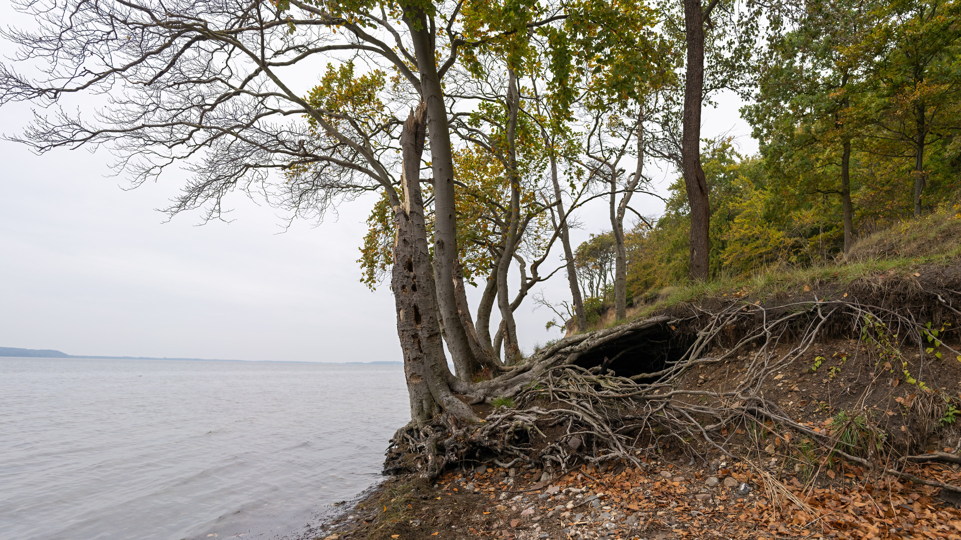 Strand bei Lietzow