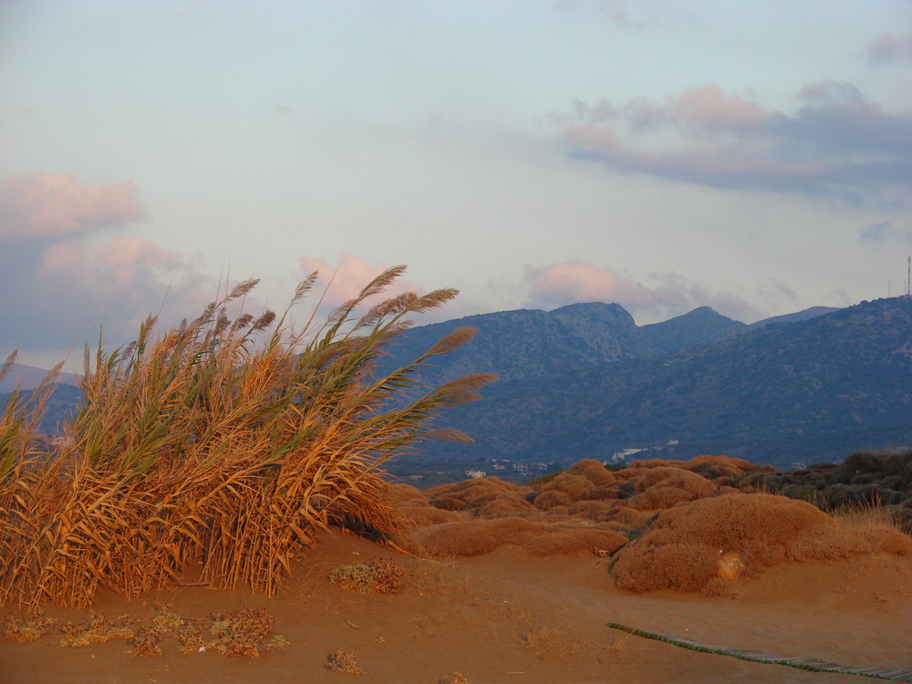 Strand bei Malia