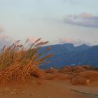 Strand bei Malia