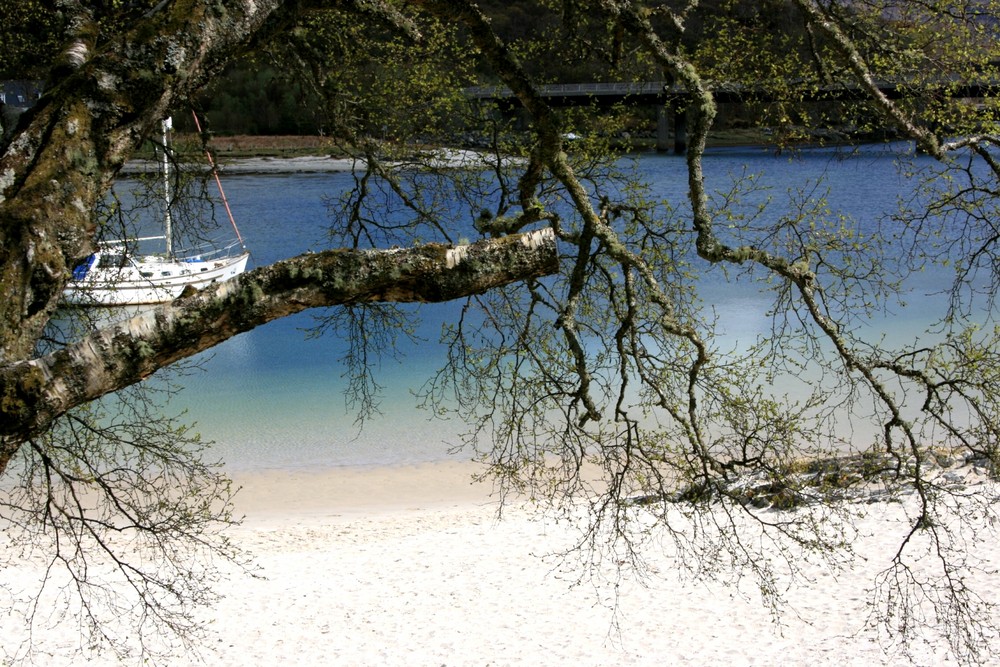 Strand bei Morar