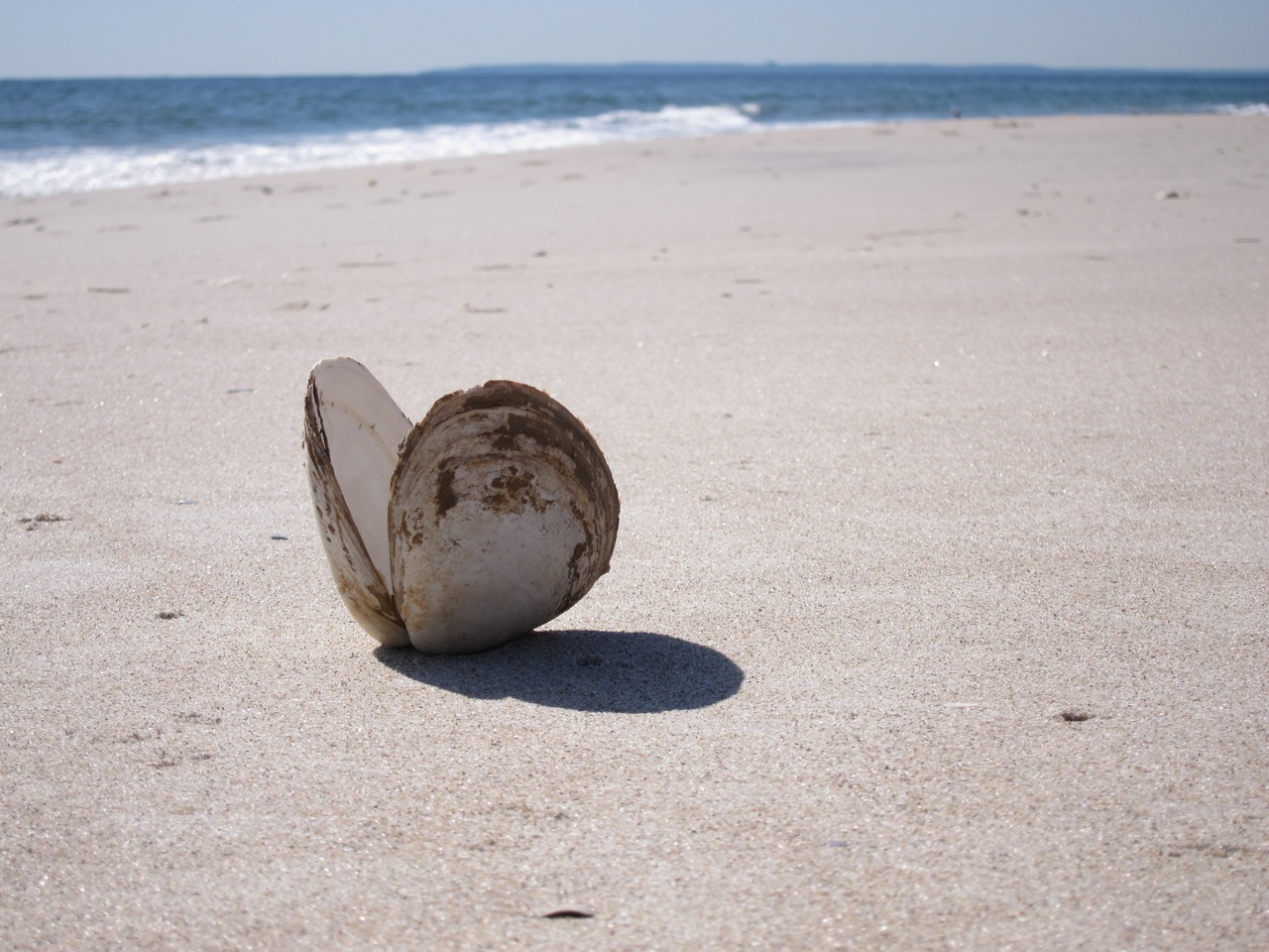 Strand bei New York