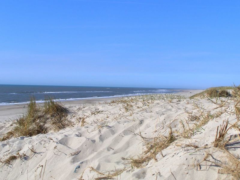 Strand bei Nymindegab