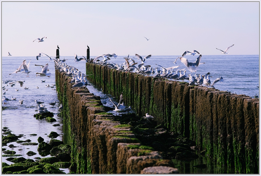 Strand bei Oostkapelle