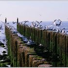 Strand bei Oostkapelle