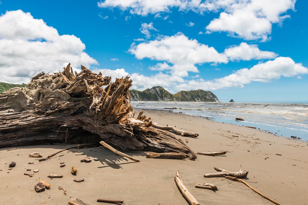 Strand bei Opotiki 2