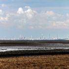 Strand bei Ouddorp