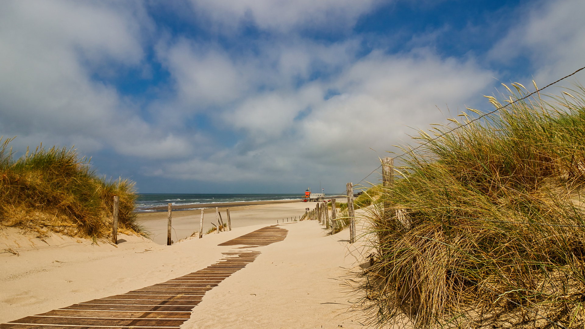 Strand bei Petten Nordholland