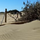 Strand bei Playa del Ingles