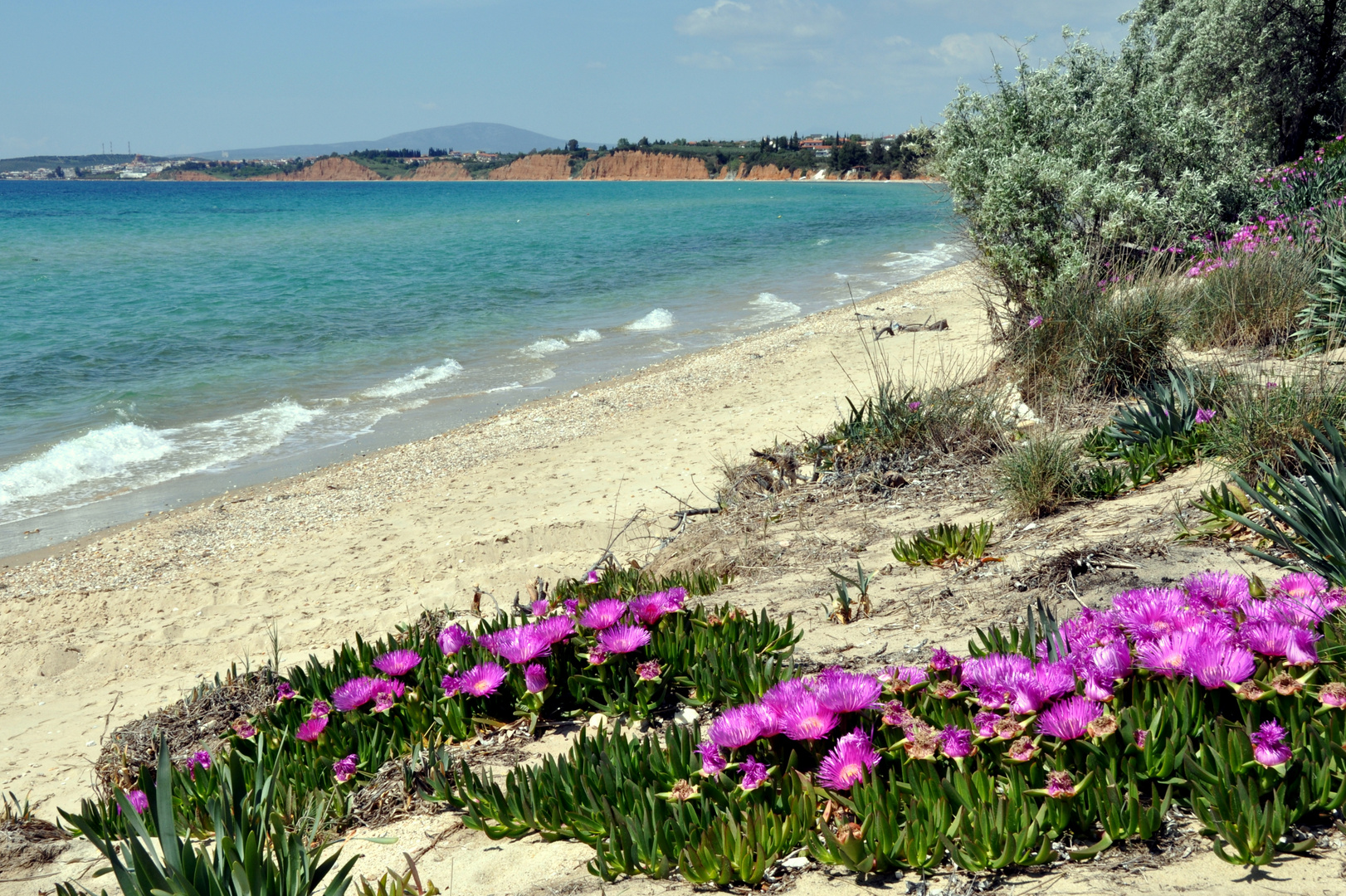 Strand bei Portes auf der Halbinsel Kassandra (Chalkidiki Griechenland)