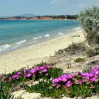 Strand bei Portes auf der Halbinsel Kassandra (Chalkidiki Griechenland)