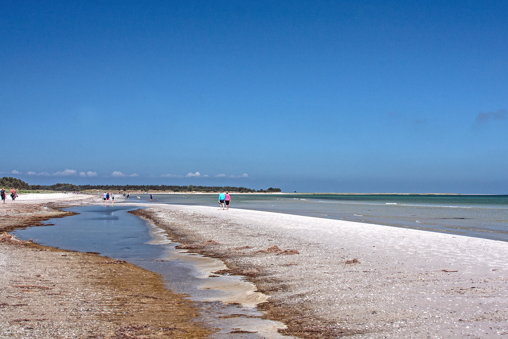 Strand bei Prerow