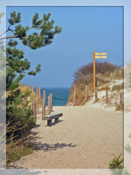 Strand bei Prerow