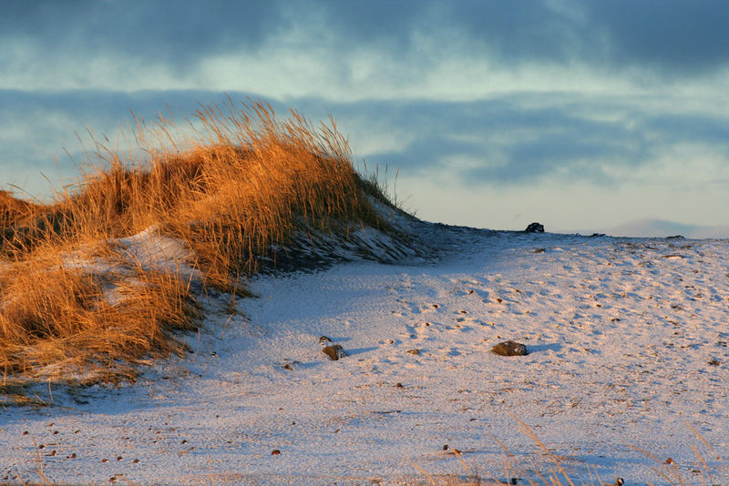 Strand bei Reykjavik