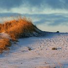 Strand bei Reykjavik