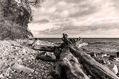 Strand bei Sassnitz auf der Insel Rügen