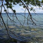 Strand bei Sassnitz / Nationalpark Jasmund / Insel Rügen I