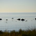 Strand bei Skillinge