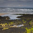 Strand bei St. Andrews