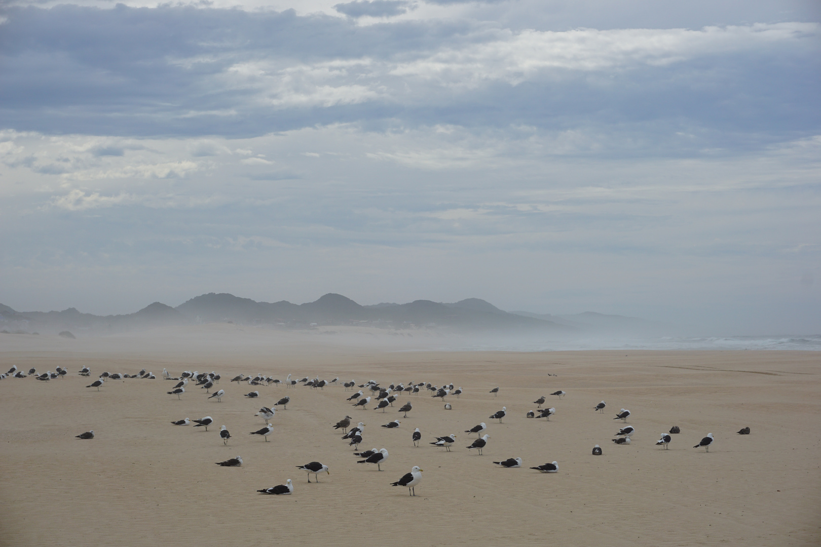 Strand bei St. Francis