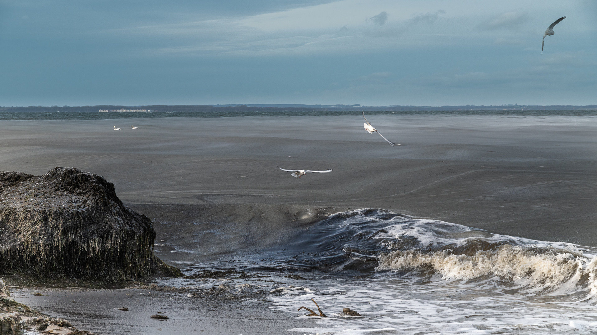 Strand bei Timmemdorf G85_2460