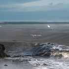 Strand bei Timmemdorf G85_2460