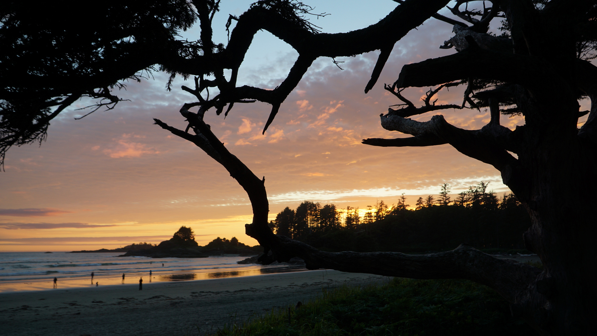 Strand bei Tofino