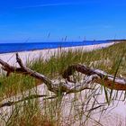 Strand bei Trassenheide