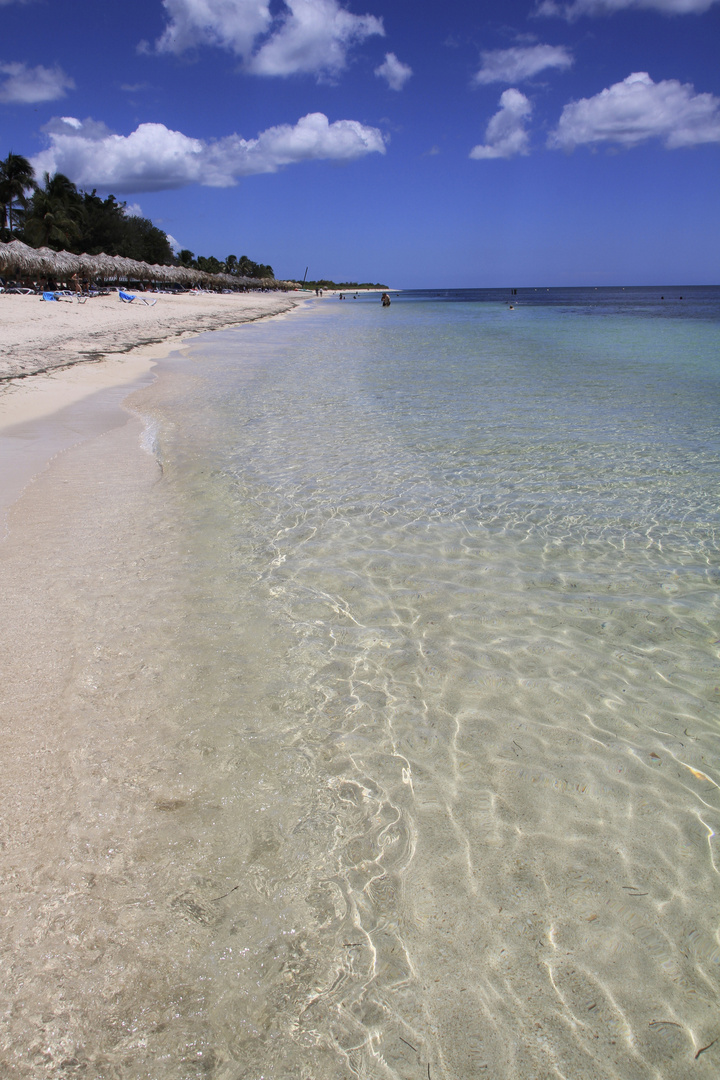 Strand bei Trinidad (IMG_6704)