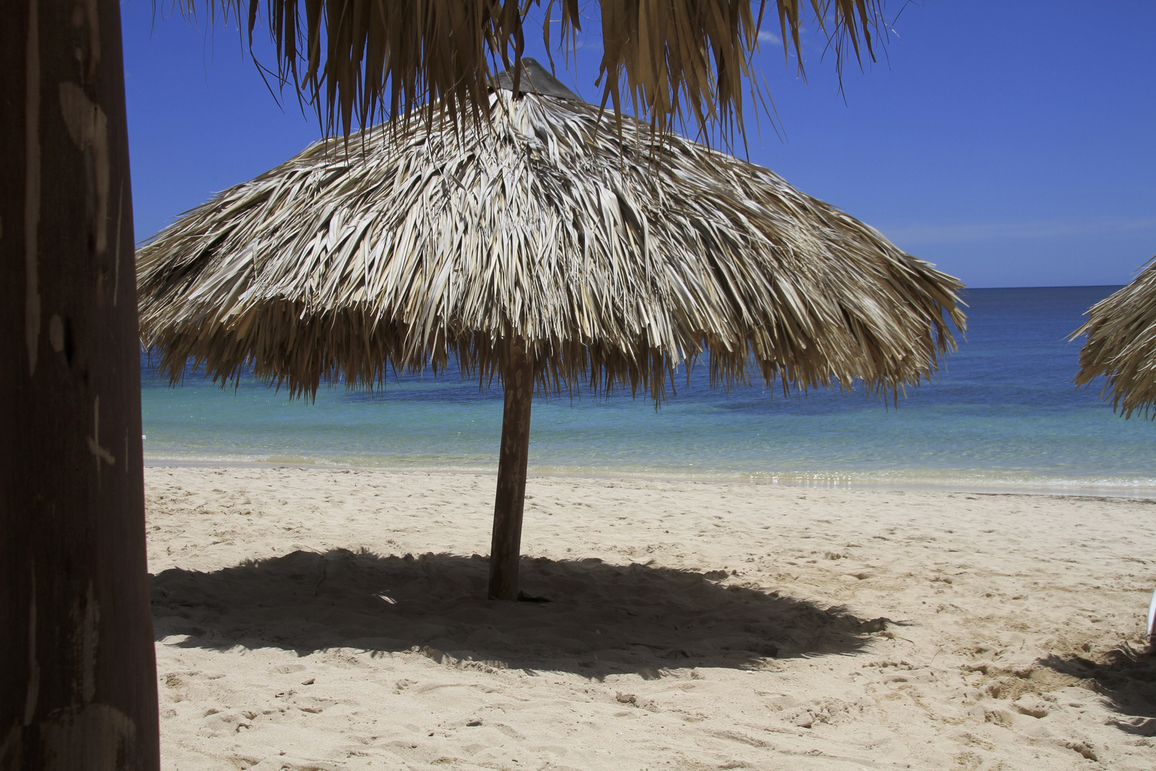 Strand bei Trinidad (IMG_6725)