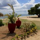 Strand bei Trinidad (IMG_6756)