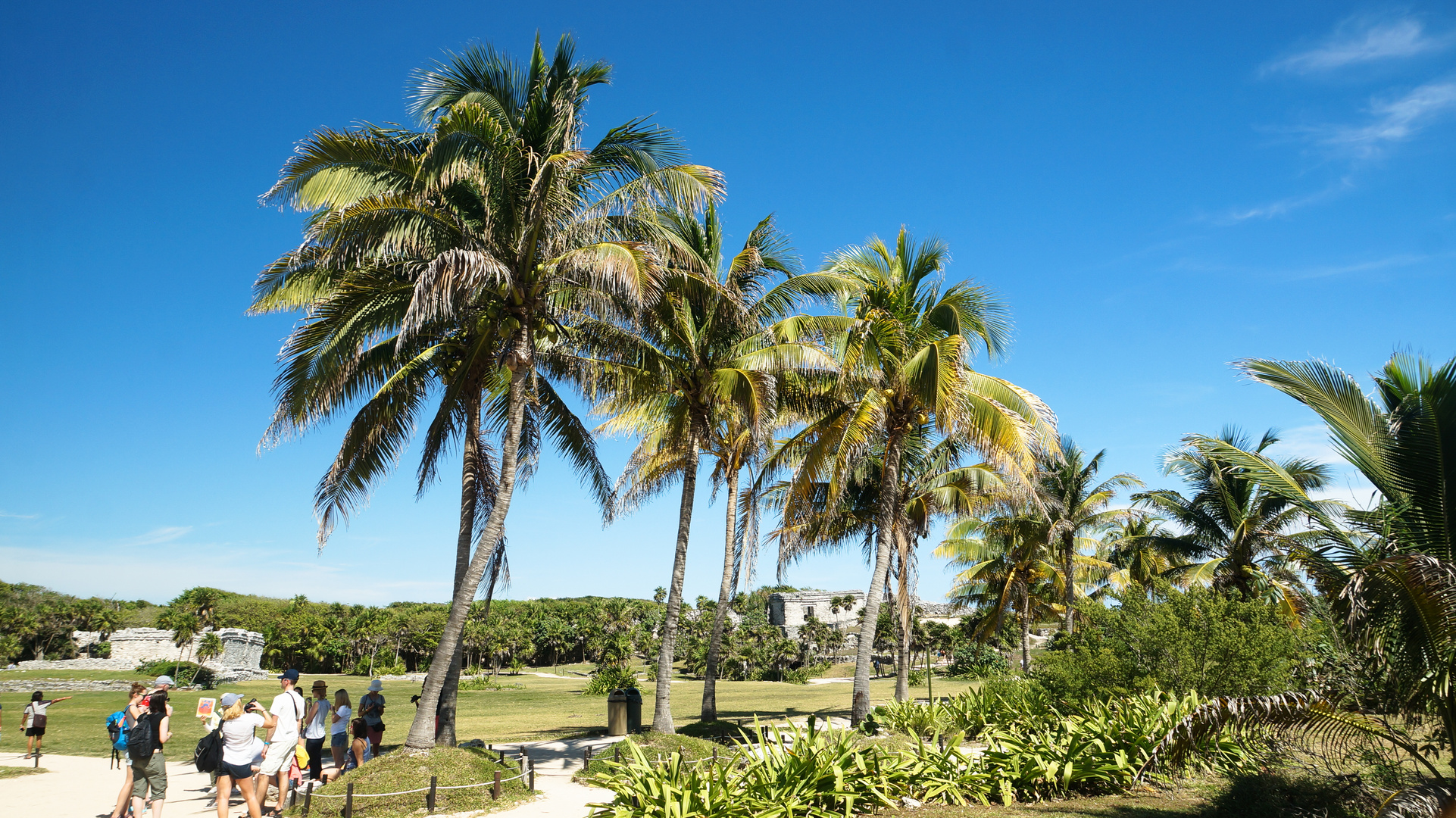 Strand bei Tulum