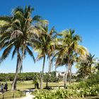 Strand bei Tulum