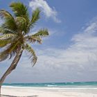 Strand bei Tulum