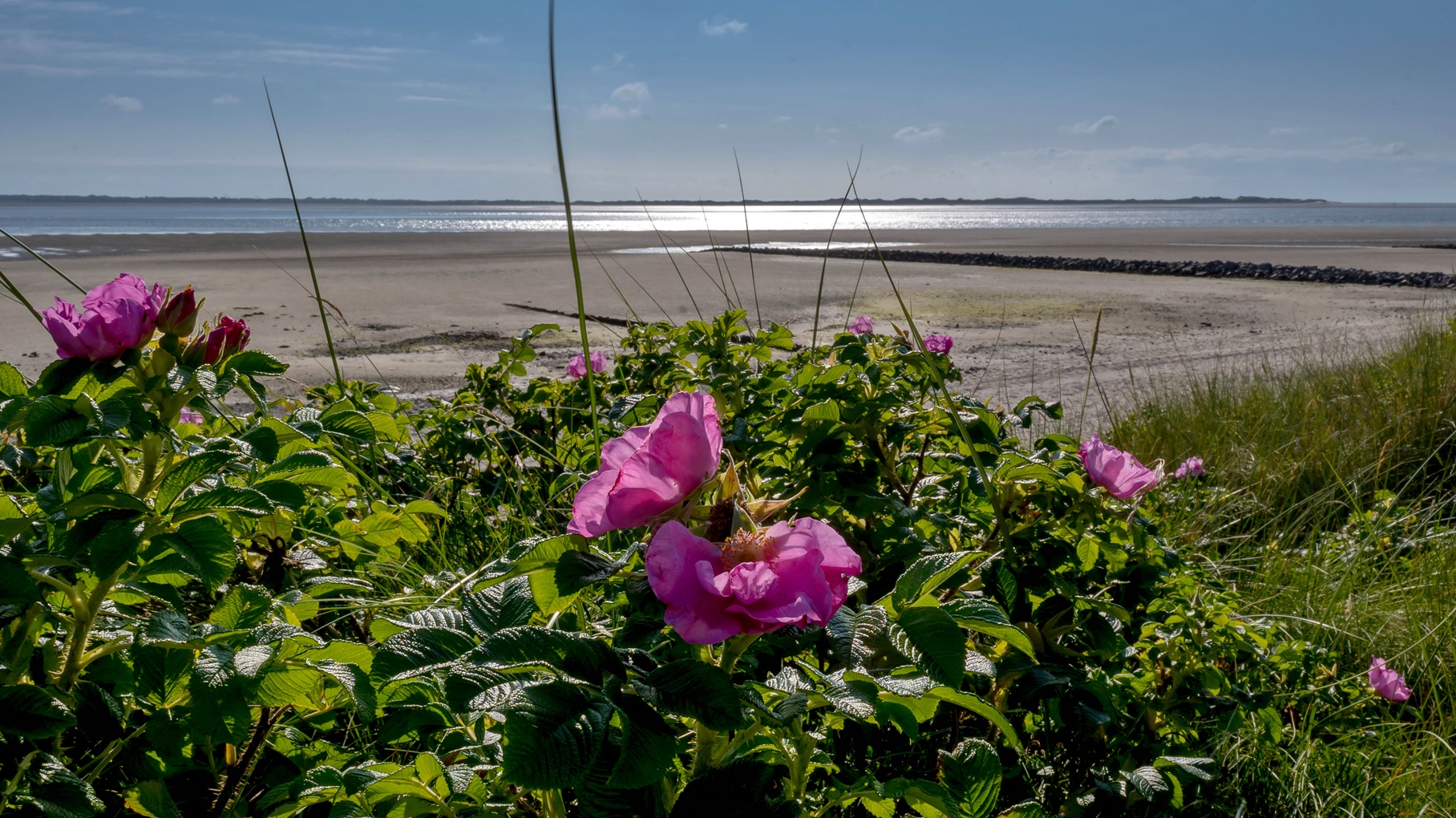 Strand bei Utersum