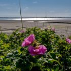 Strand bei Utersum