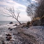 Strand bei Vitt / Rügen