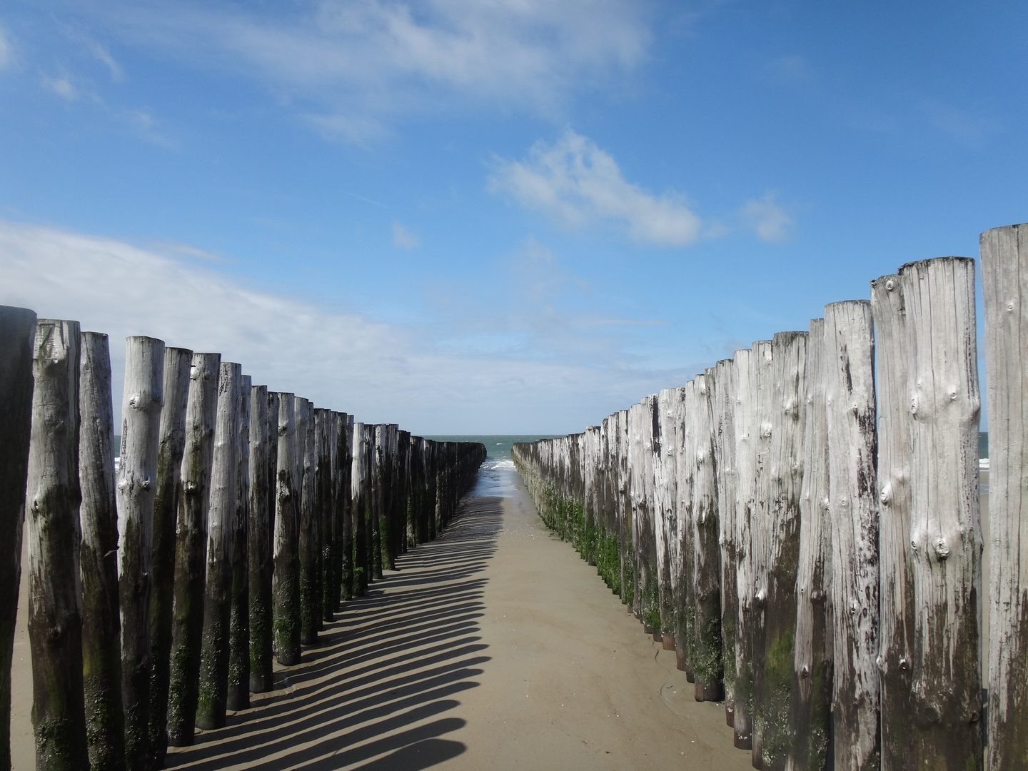 Strand bei Westenschouwen