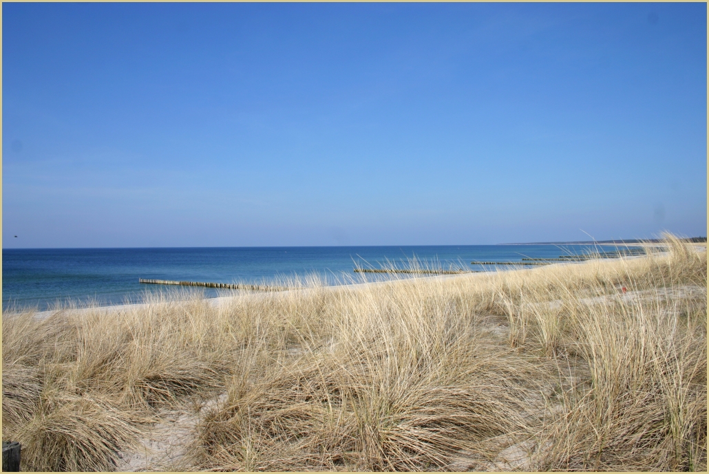 Strand bei Zingst