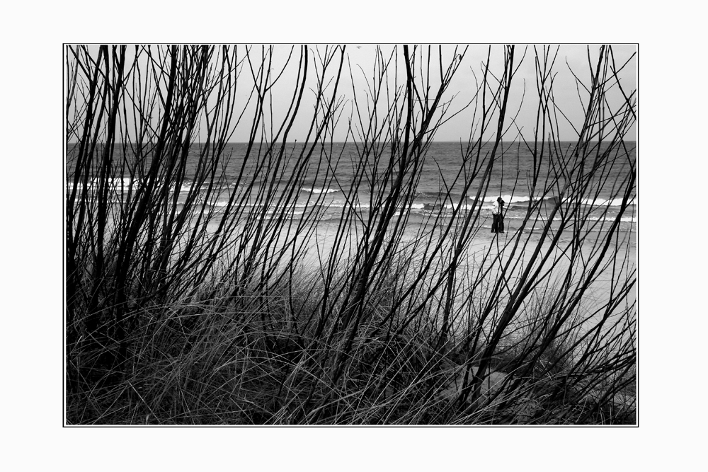 Strand bei Zinnowitz (februar 08)