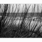 Strand bei Zinnowitz (februar 08)