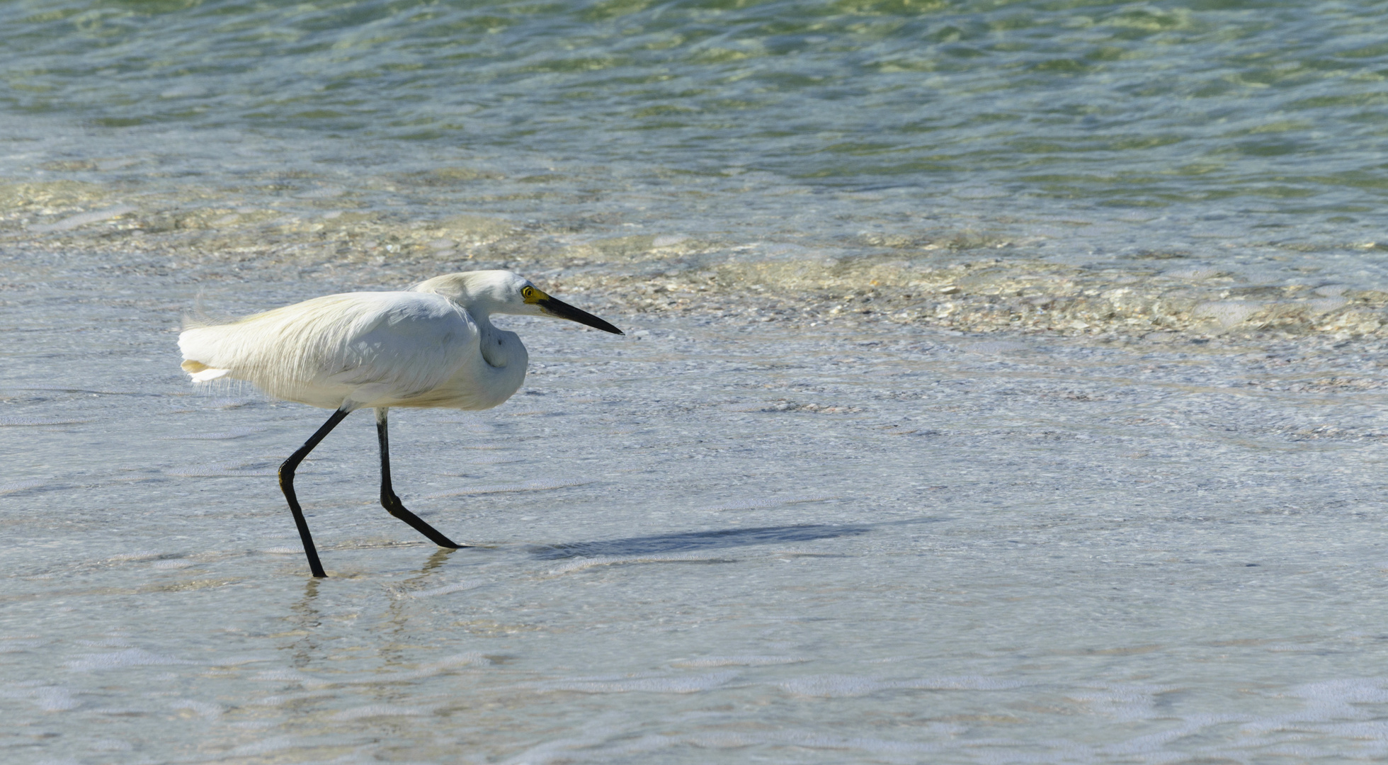 Strand Bekanntschaft 