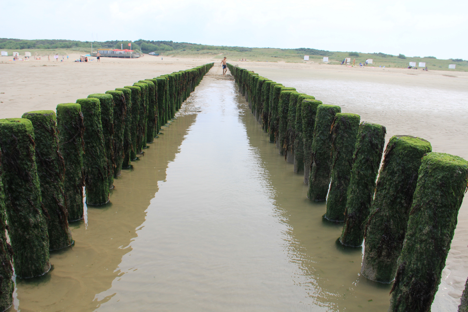 Strand, (Breskens)