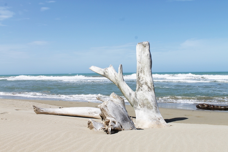 Strand Cabarete 1