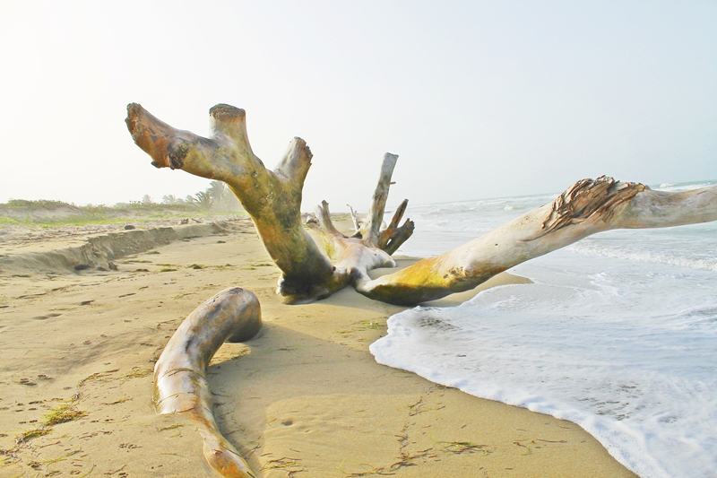 Strand Cabarete 3