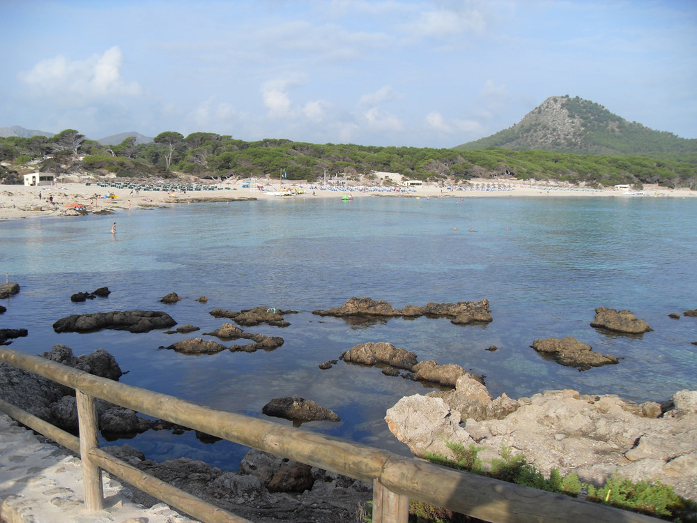 Strand "Calla Agulla" in Cala Ratjada