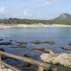 Strand "Calla Agulla" in Cala Ratjada