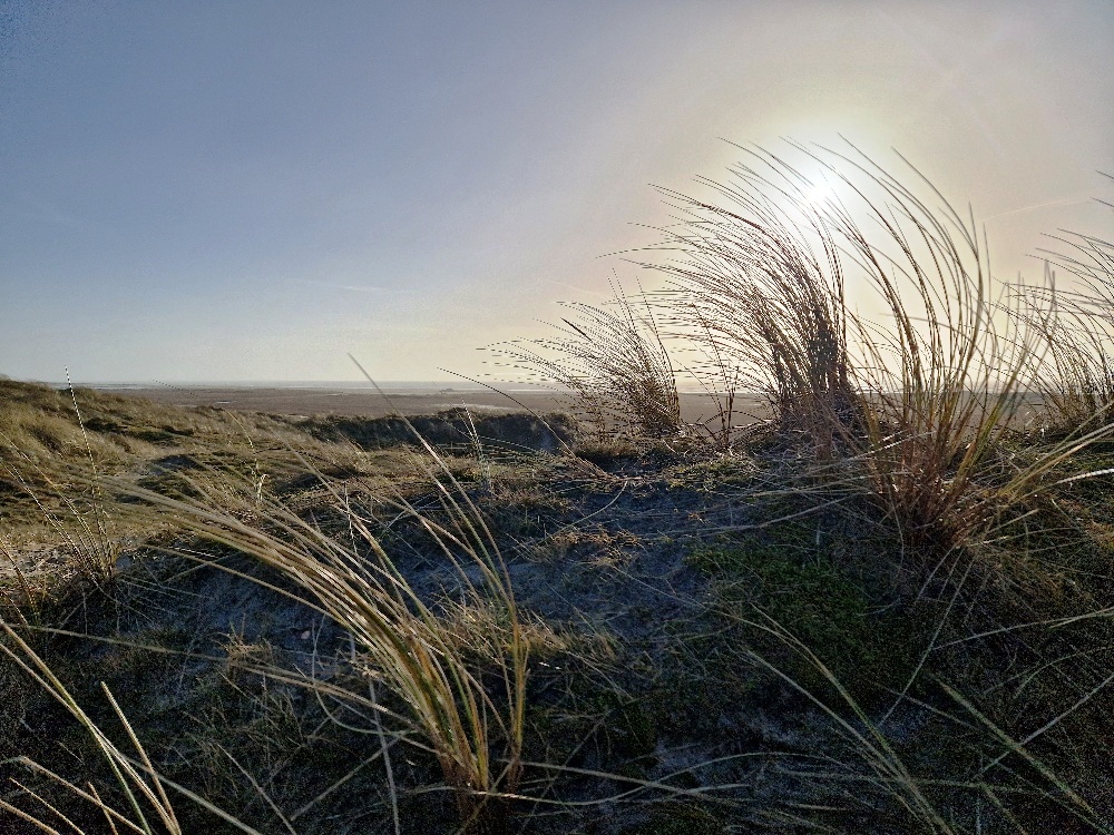 Strand Dänemark