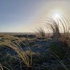 Strand Dänemark