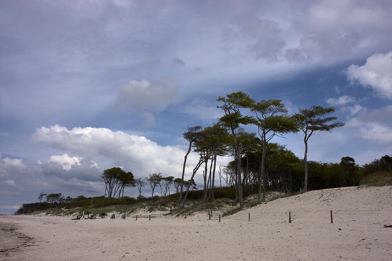 Strand Darßer Ort